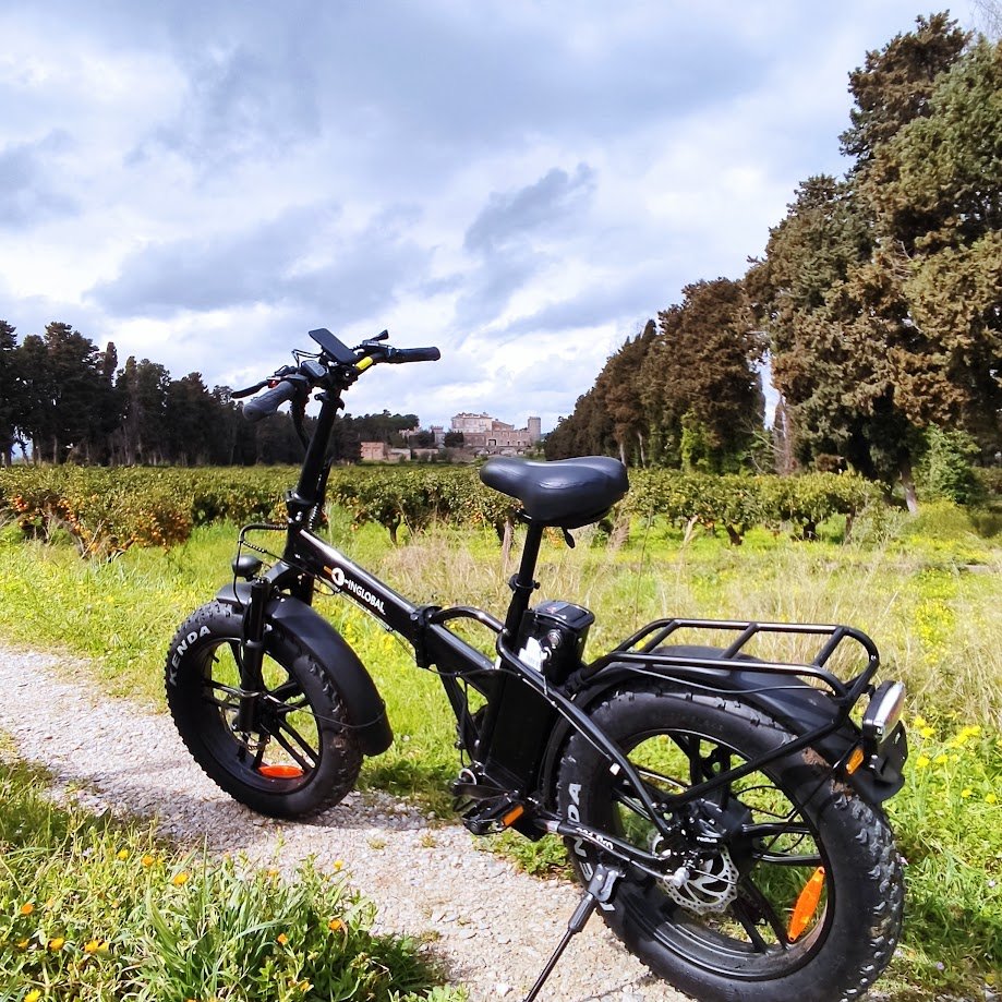 bicicletta elettrica Inglobal P21 Pro 750W