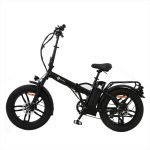 bicicletta elettrica Inglobal P21 250W vista frontale bicicletta elettrica Inglobal P21 250W vista laterale