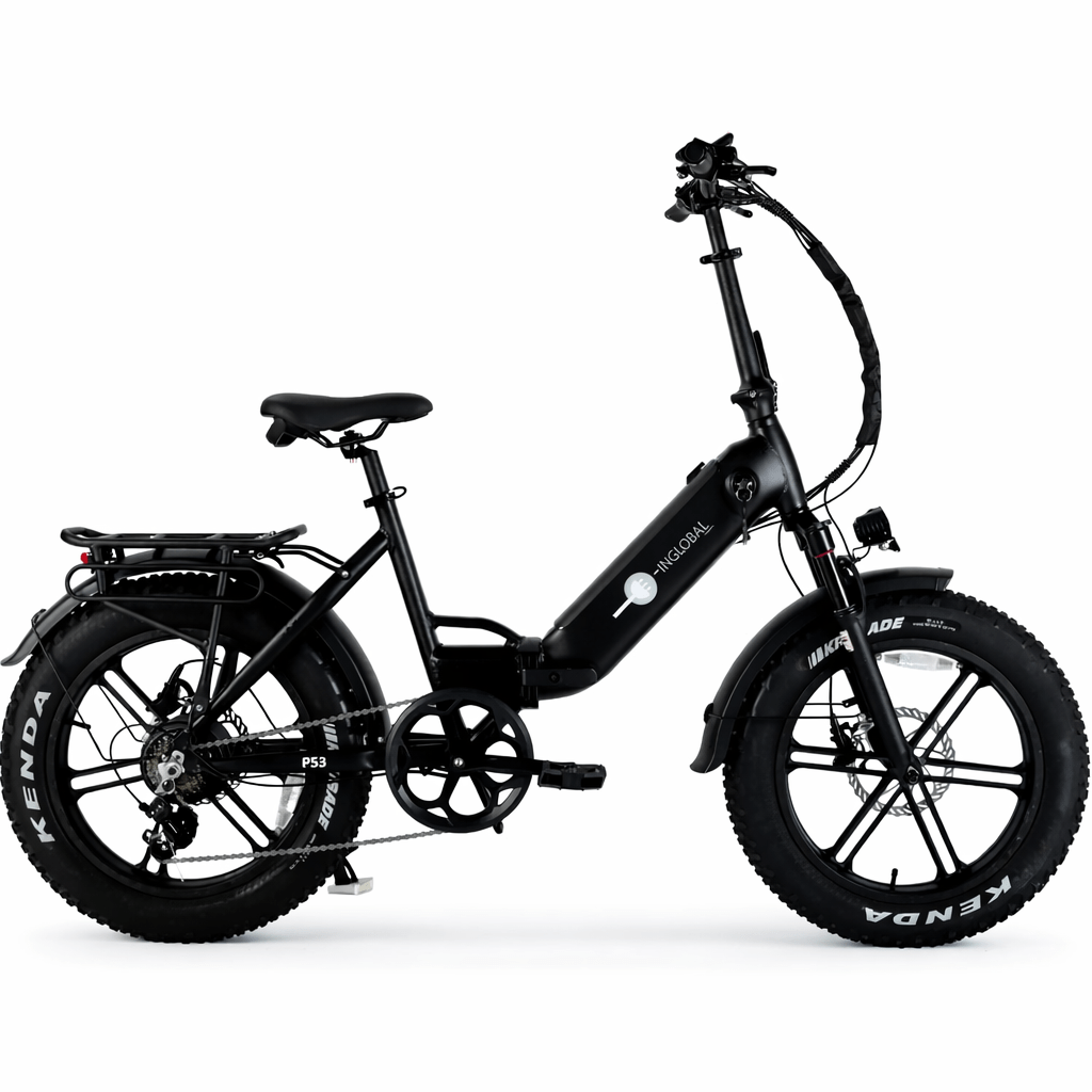 Bicicletta Elettrica Inglobal Modello P53 - 750w 48v 15ah