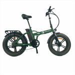 bicicletta elettrica Inglobal P21 250W verde vista frontale bicicletta elettrica Inglobal P21 250W verde vista laterale