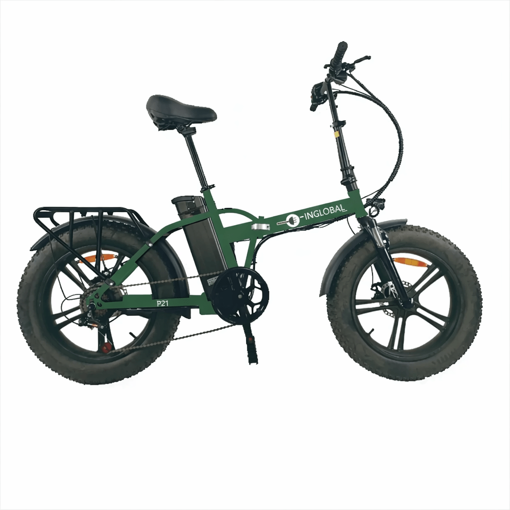 bicicletta elettrica Inglobal P21 250W verde vista frontale bicicletta elettrica Inglobal P21 250W verde vista laterale